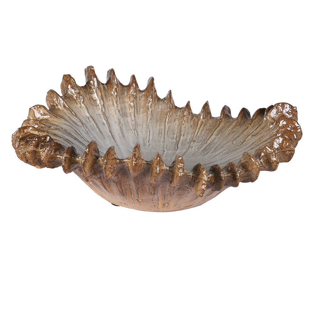 Venus Shell Bowl