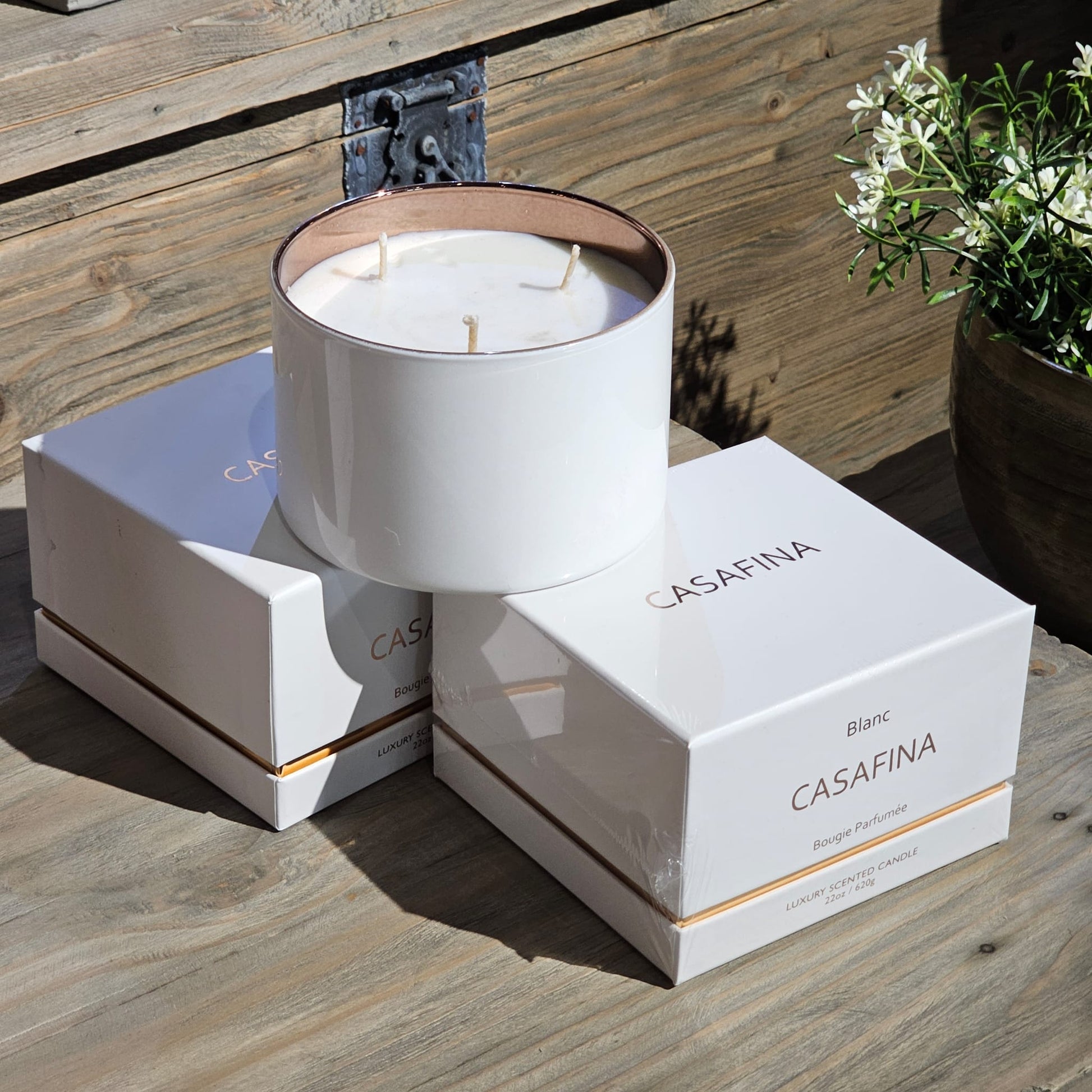 Blanc Rose Candle with Box - LUXONAS