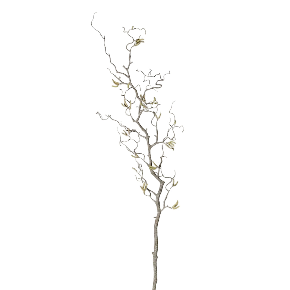 Contorted Willow Branch with Catkins
