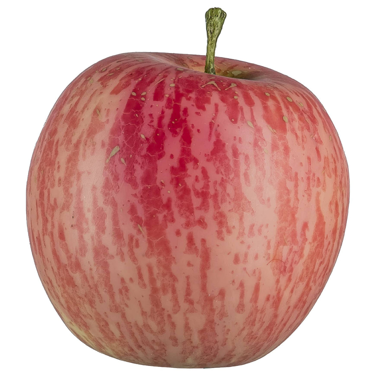 Decorative Apple