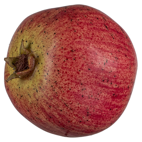 Decorative Pomegranate