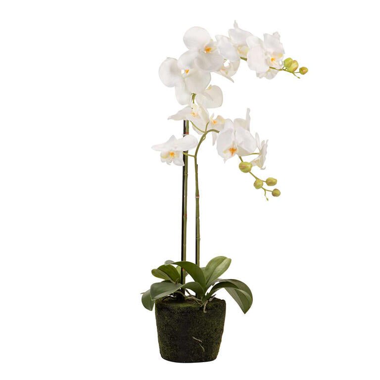 Elegant White Polyester Orchid - Perfect for Home and Office Decor - LUXONAS