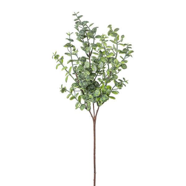 Eucalyptus Branch 46 cm