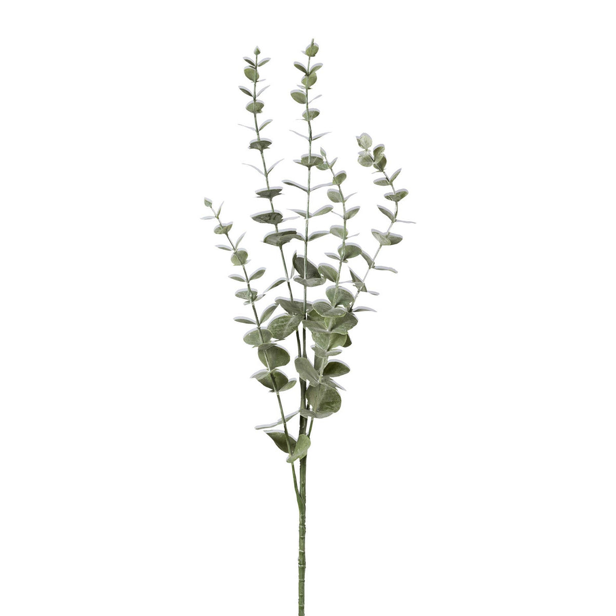 Eucalyptus Branch 73 cm