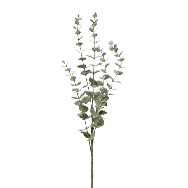 Eucalyptus Branch 73 cm
