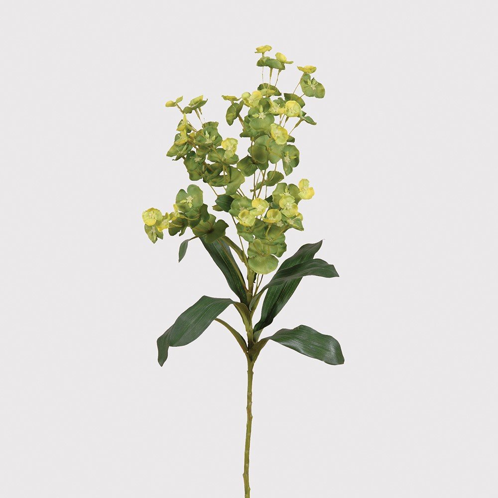 Green & Lime Euphorbia Spray with Leaves