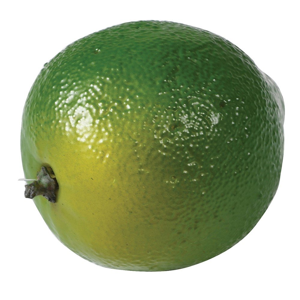 Green Lime - Realistic Plastic Citrus Fruit