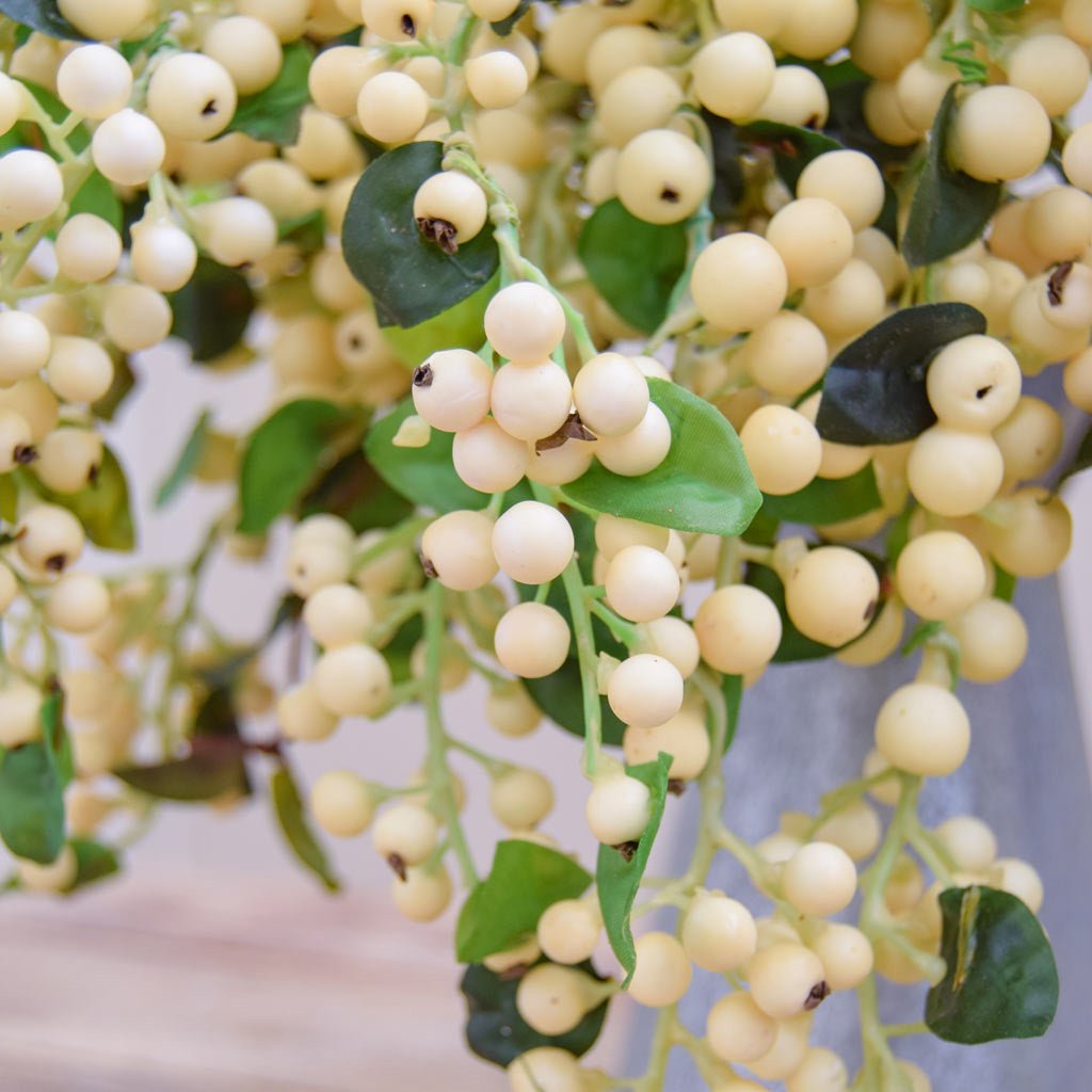 Hanging Cream Berry Foliage 55cm - LUXONAS