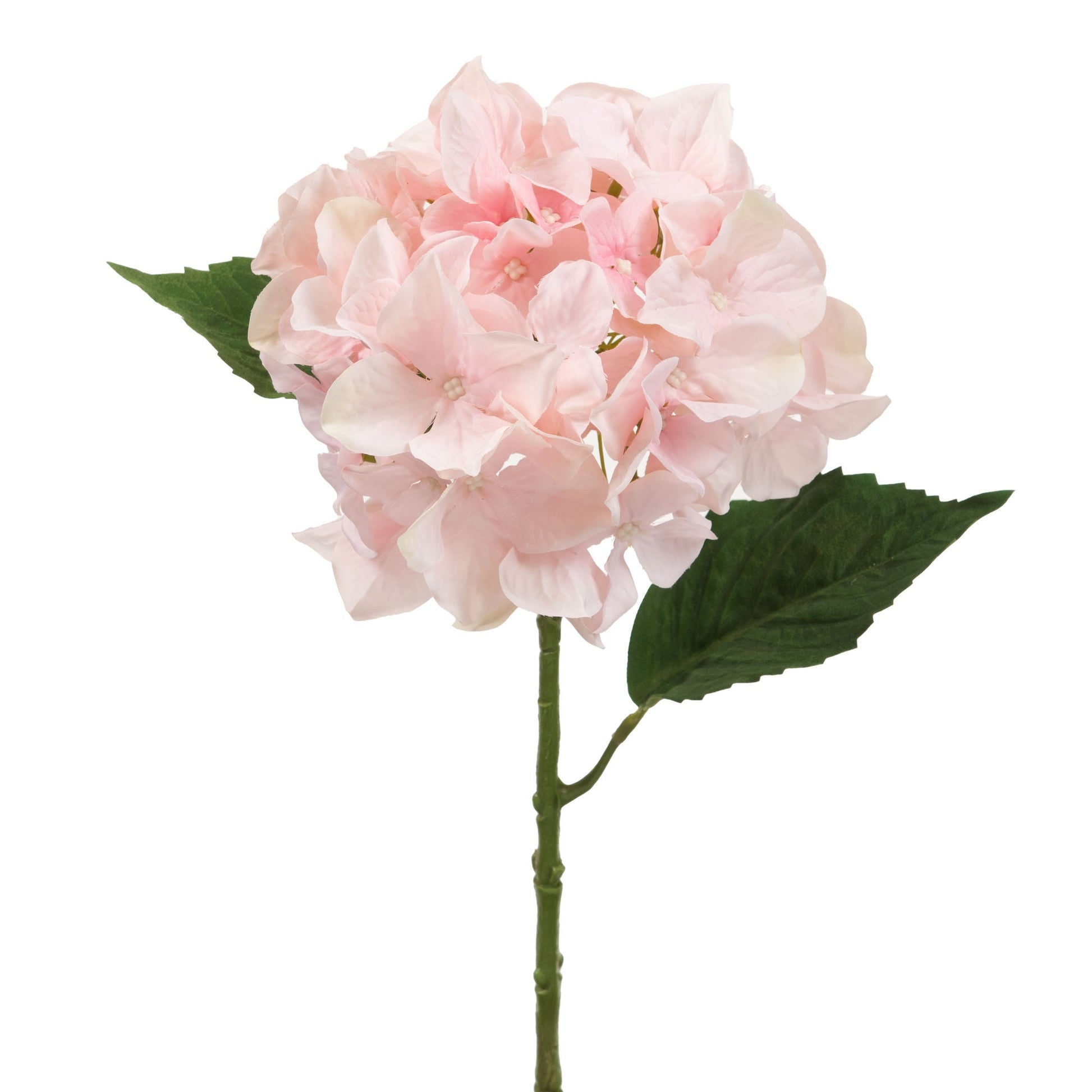 Hortensia Blush Stem - 55cm Faux Floral Accent