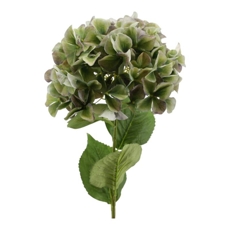 Hydrangea 30 x 95 cm Green