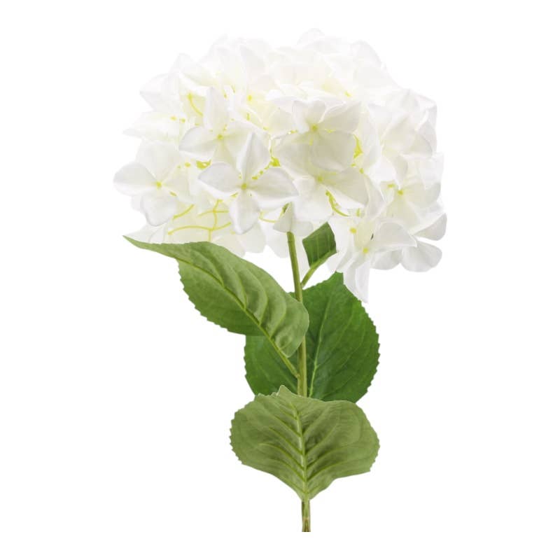 Hydrangea 30 x 95 cm White