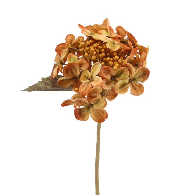 Hydrangea 45 cm orange