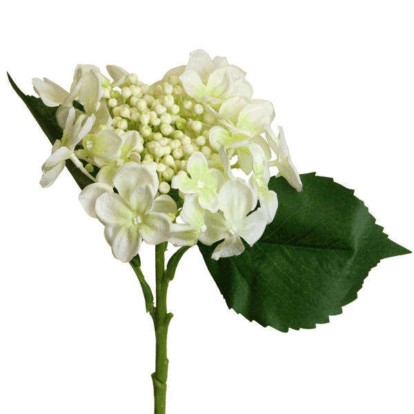 Hydrangea with buds, 45 cm, cream