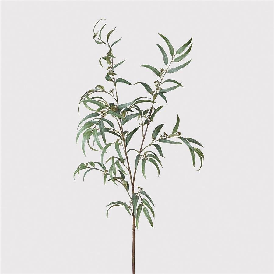 Large Willow Eucalyptus Branch - 165 cm