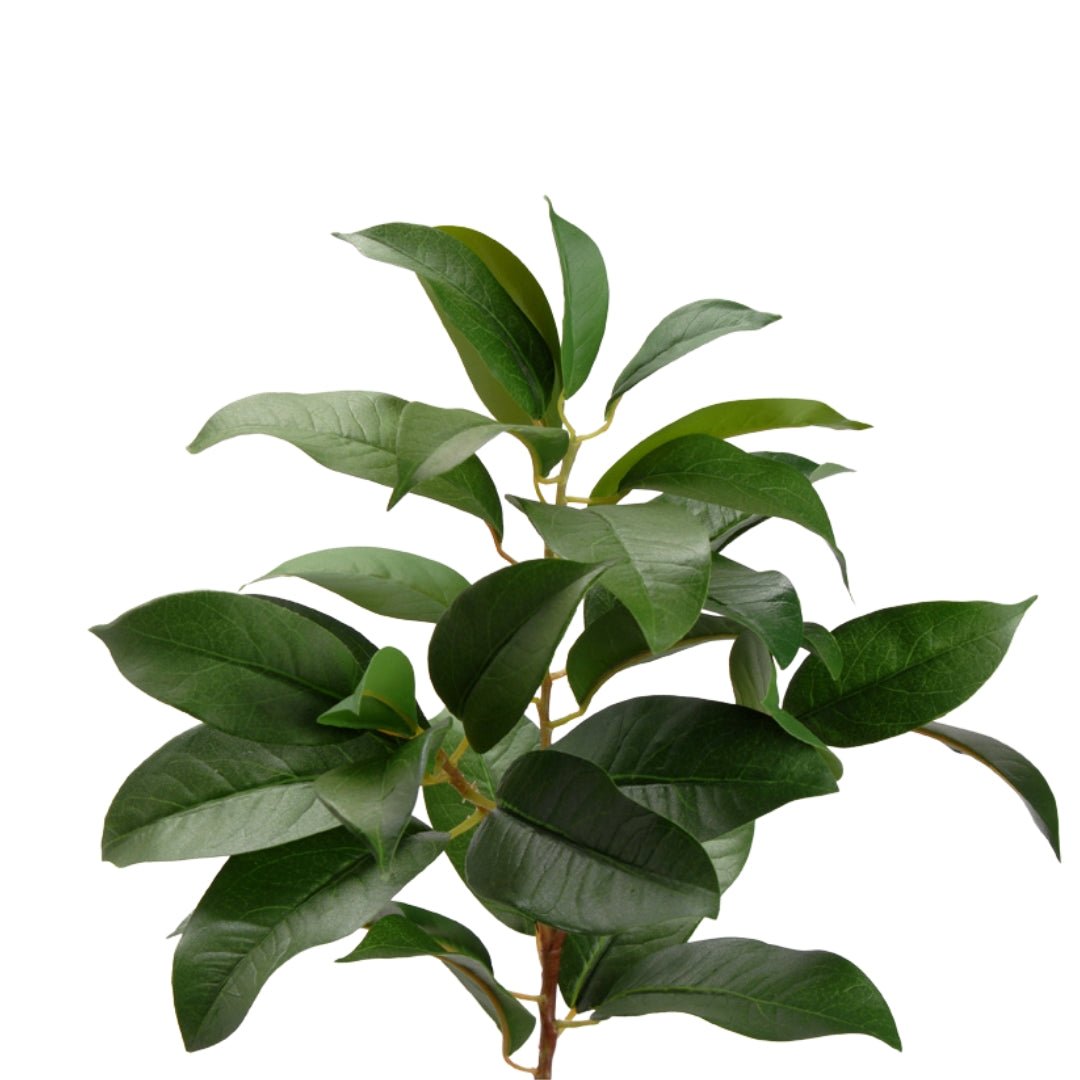 Noble Lorel Branch 59cm - Elegant Faux Botanical Accent