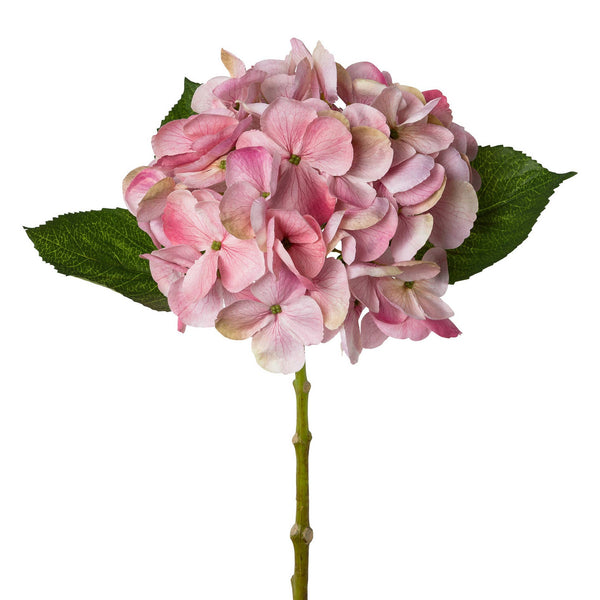 Old Pink Hydrangea 48cm