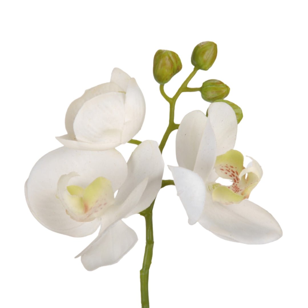 Orchid Mini Phalaenopsis Stem - 25cm Faux Floral Accent