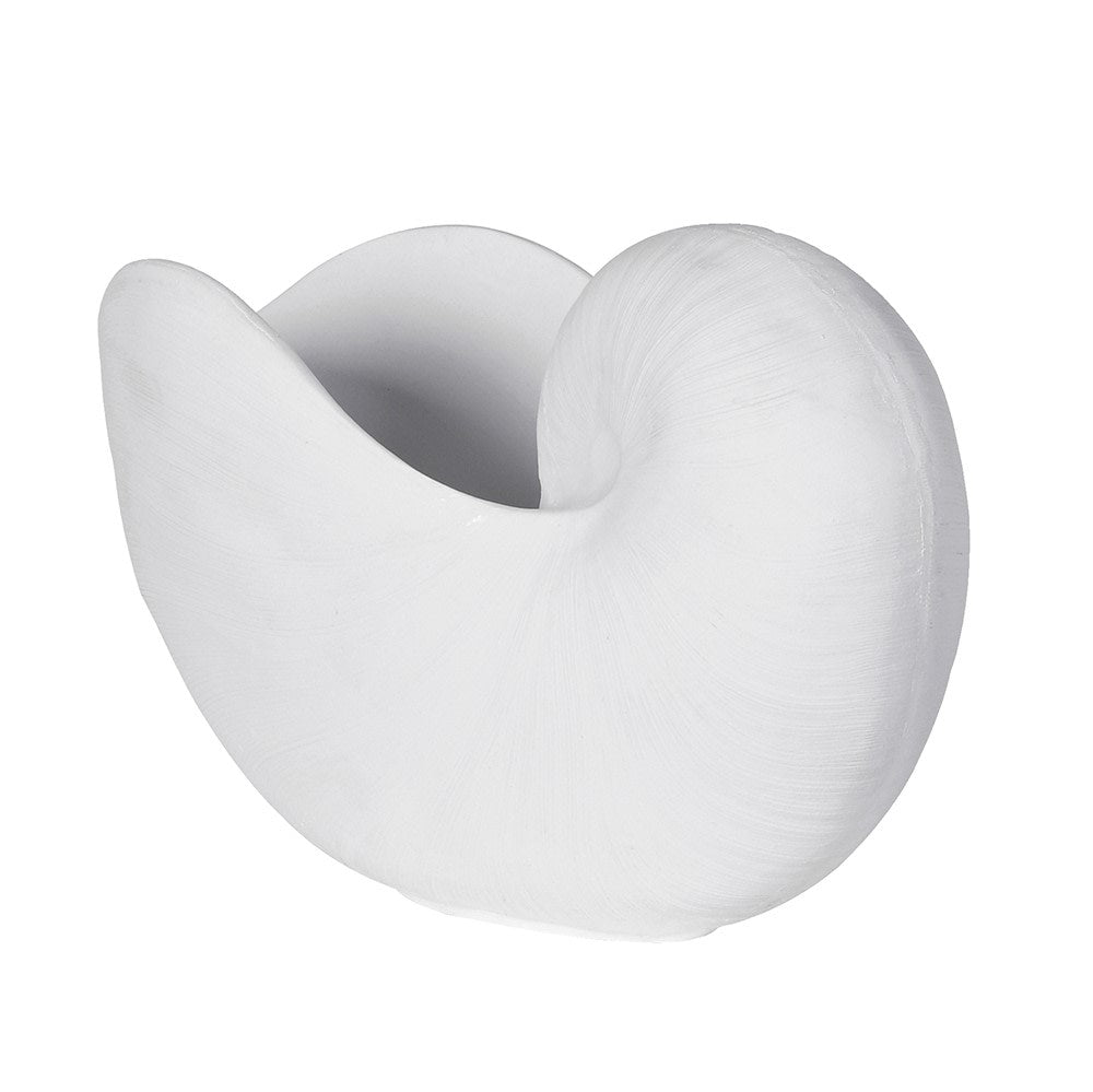 White Coral Nautilus