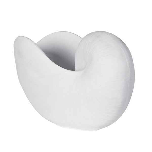 White Coral Nautilus