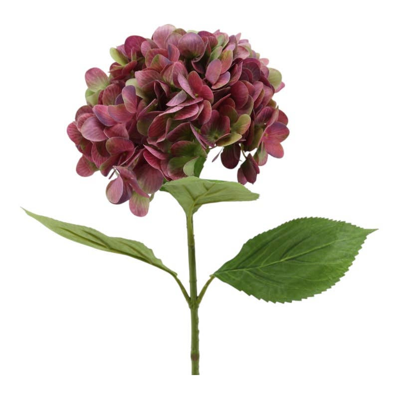 Hydrangea 70 cm burgundy