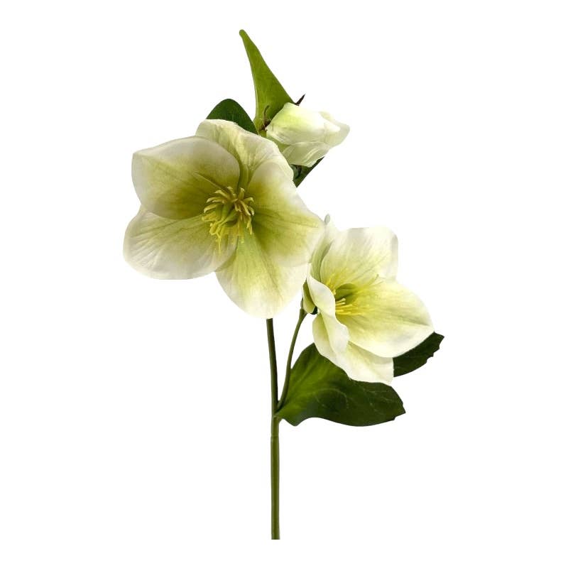 Christmas rose x 3, 35 cm cream