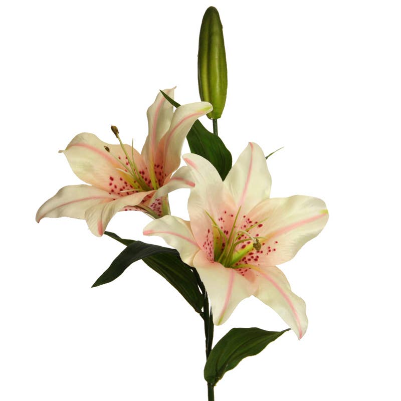 Lily x 2, 66 cm pink