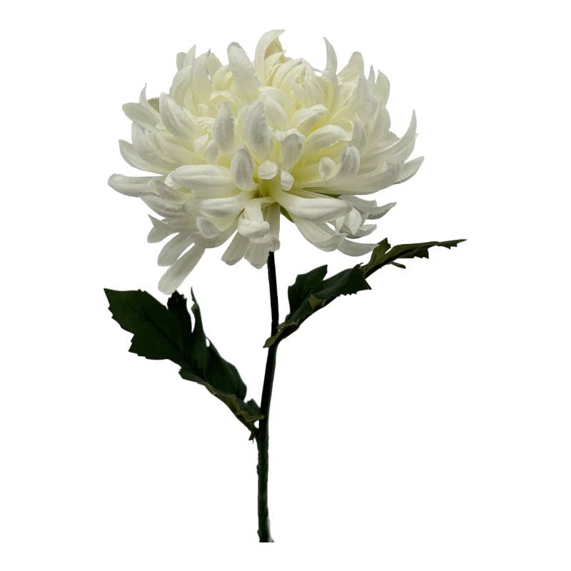 Chrysanthemum 43 cm white