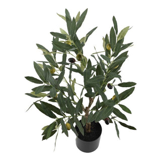 64 cm olive tree with green pot