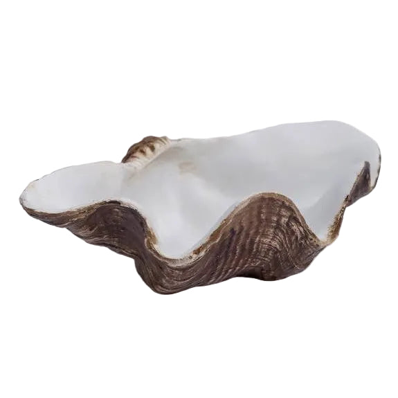 Small Clam Shell Jewellery / Storage Bowl