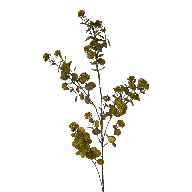 Eucalyptus with fruit 82 cm brown-green