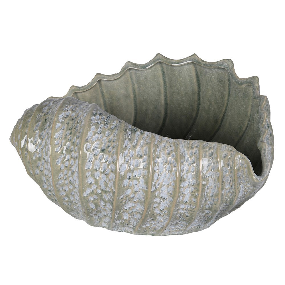Celadon Ceramic Shell