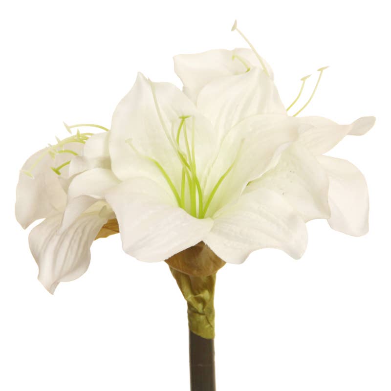Amaryllis 50 cm white