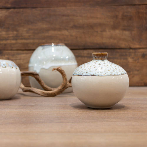 Amy Ceramic Globe Vase
