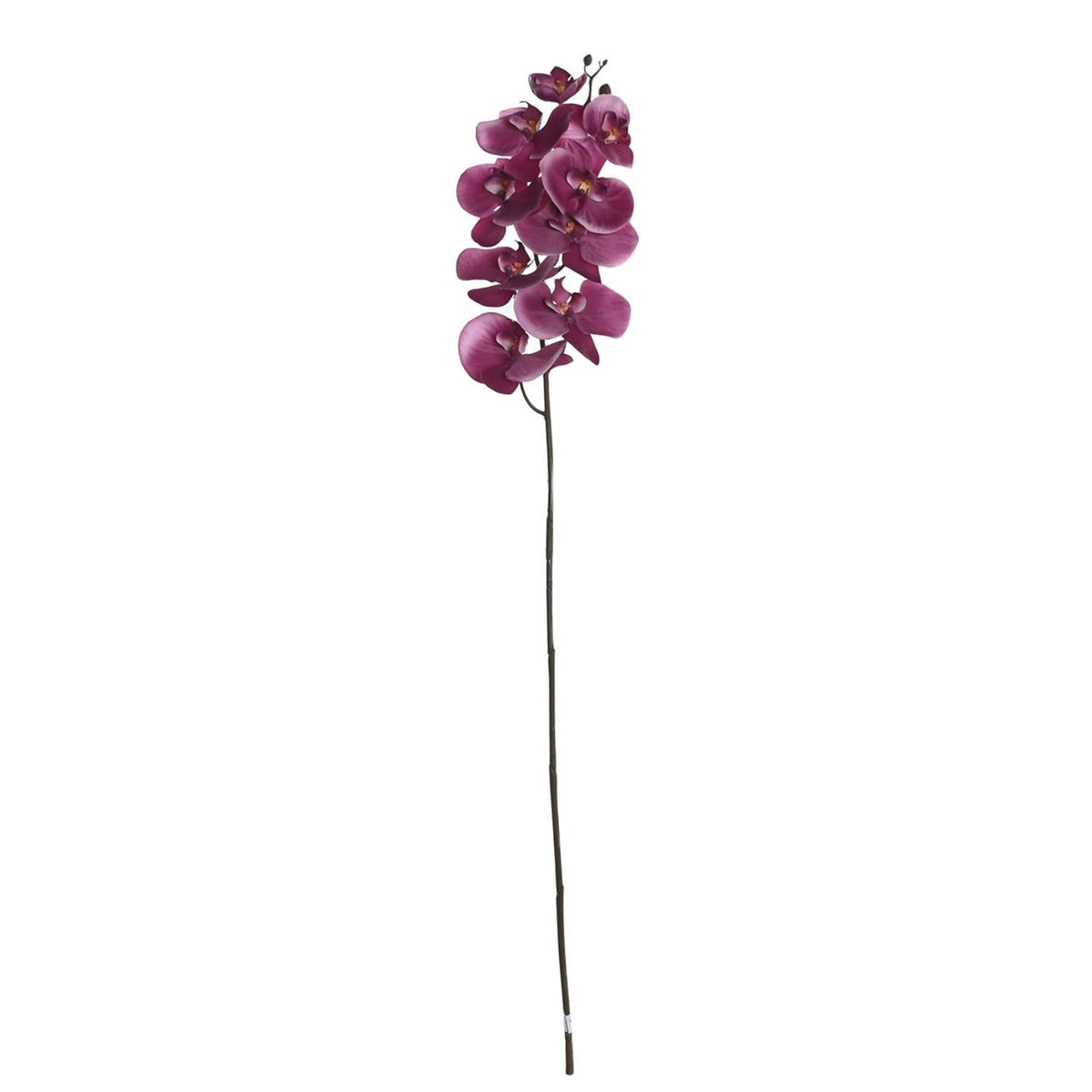 Artificial Orchid Flower Made of Polyester PE