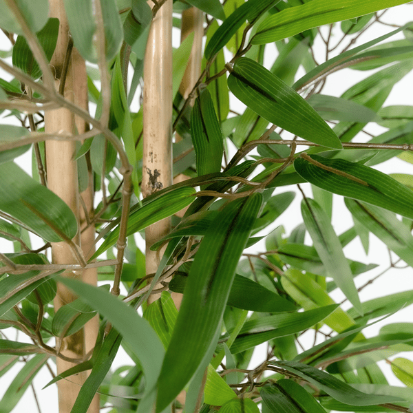 Bamboo Plant 140cm - LUXONAS