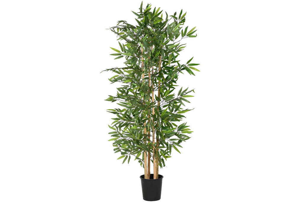 Bamboo Plant 140cm - LUXONAS
