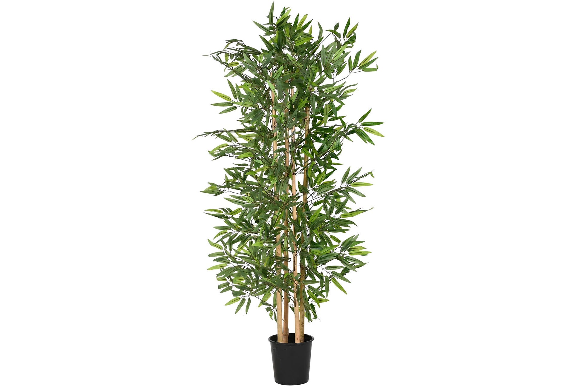 Bamboo Plant 140cm - LUXONAS