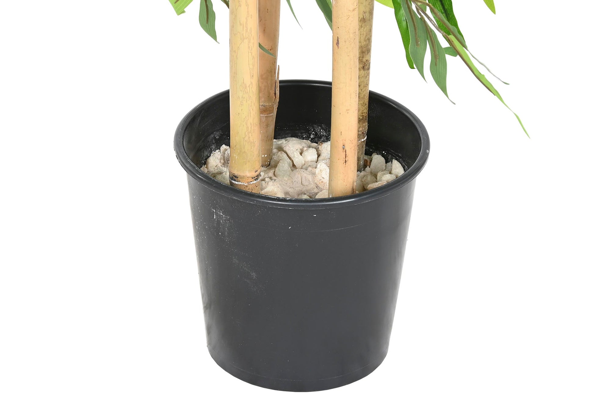 Bamboo Plant 140cm - LUXONAS