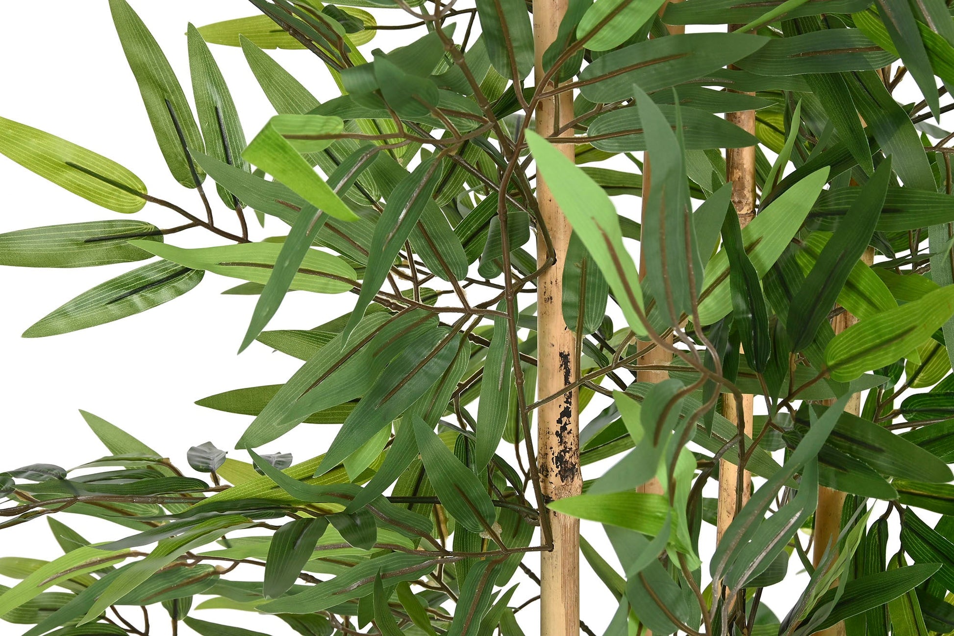 Bamboo Plant 140cm - LUXONAS