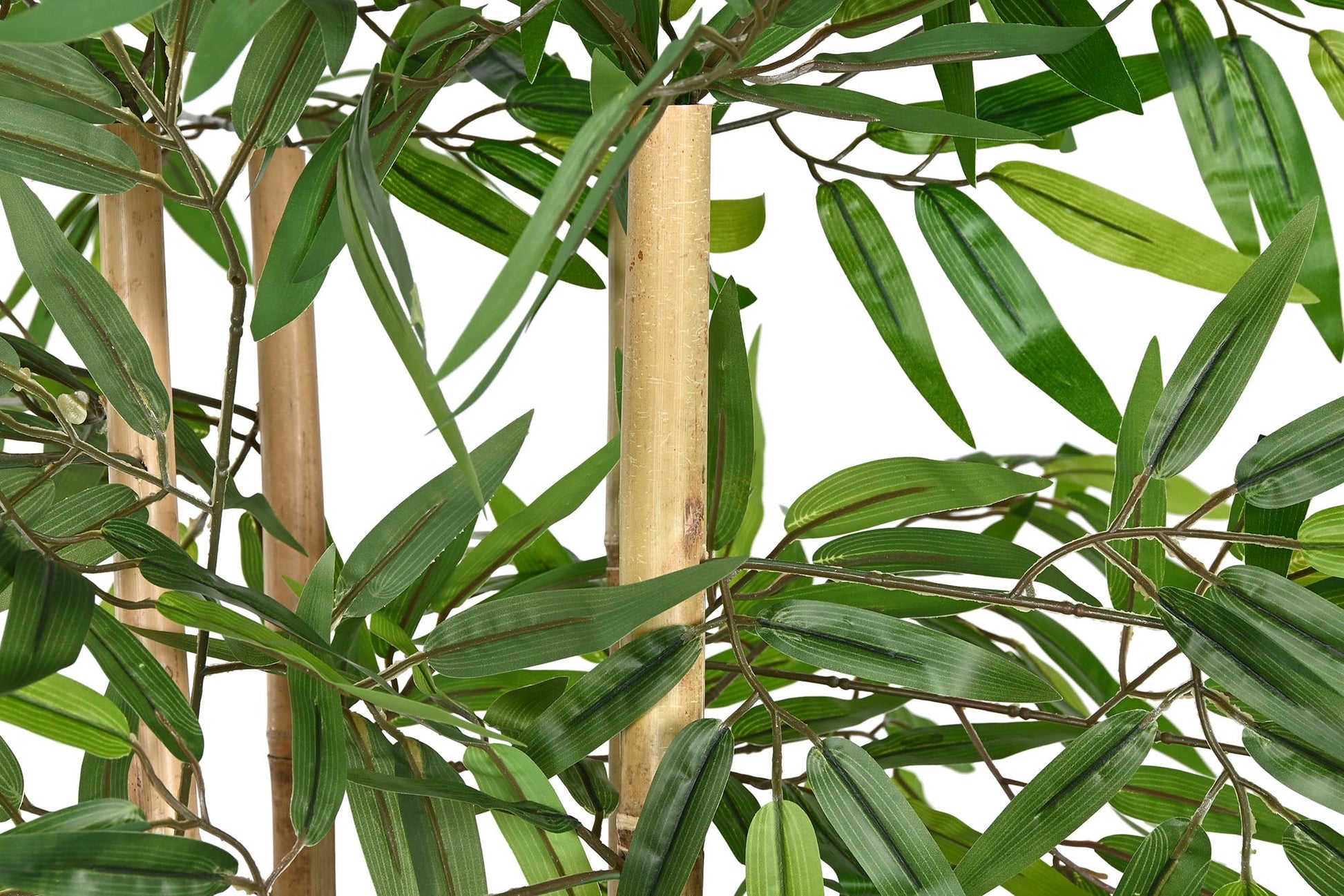 Bamboo Plant 180cm - LUXONAS