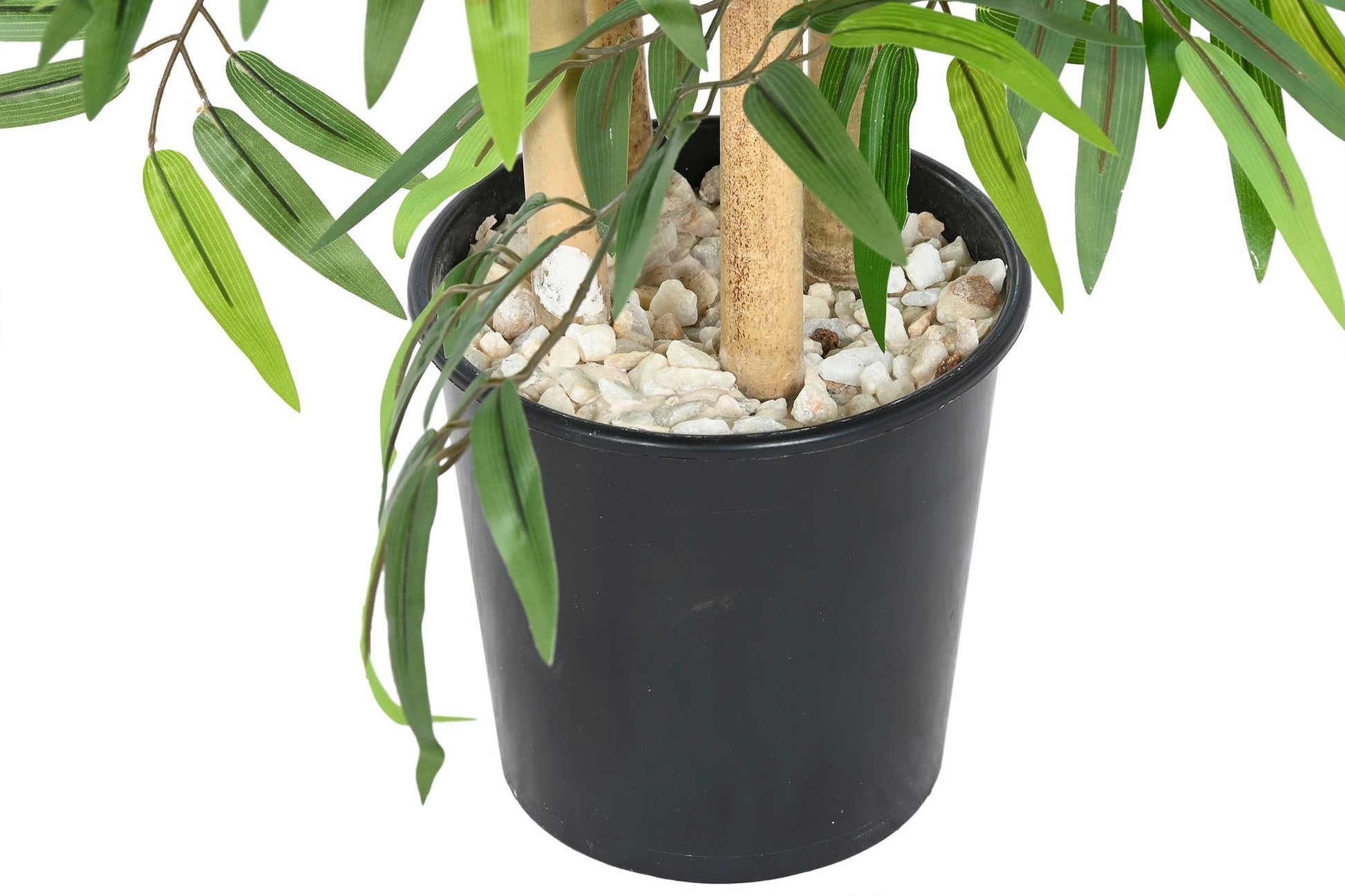 Bamboo Plant 180cm - LUXONAS