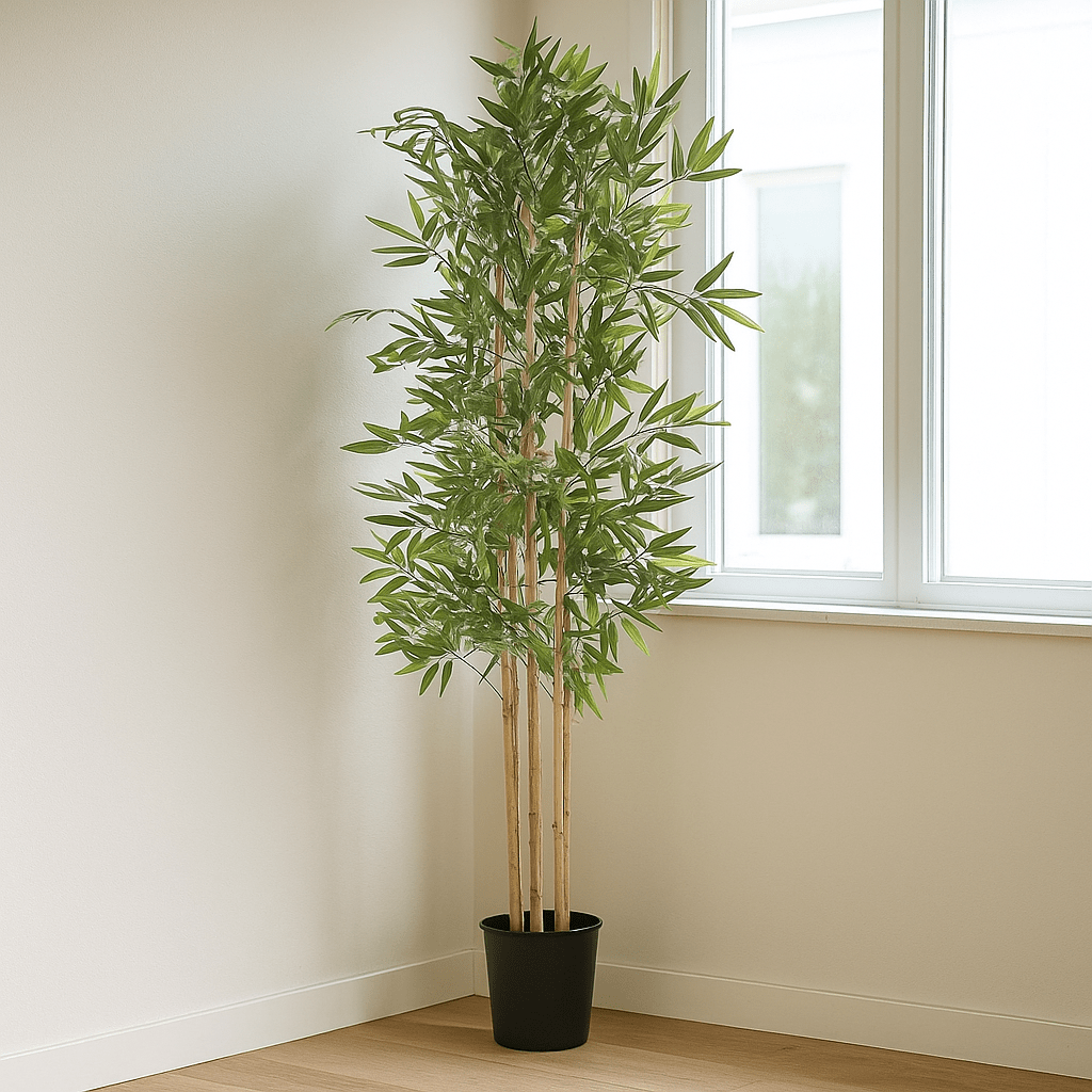 Bamboo Plant 180cm - LUXONAS