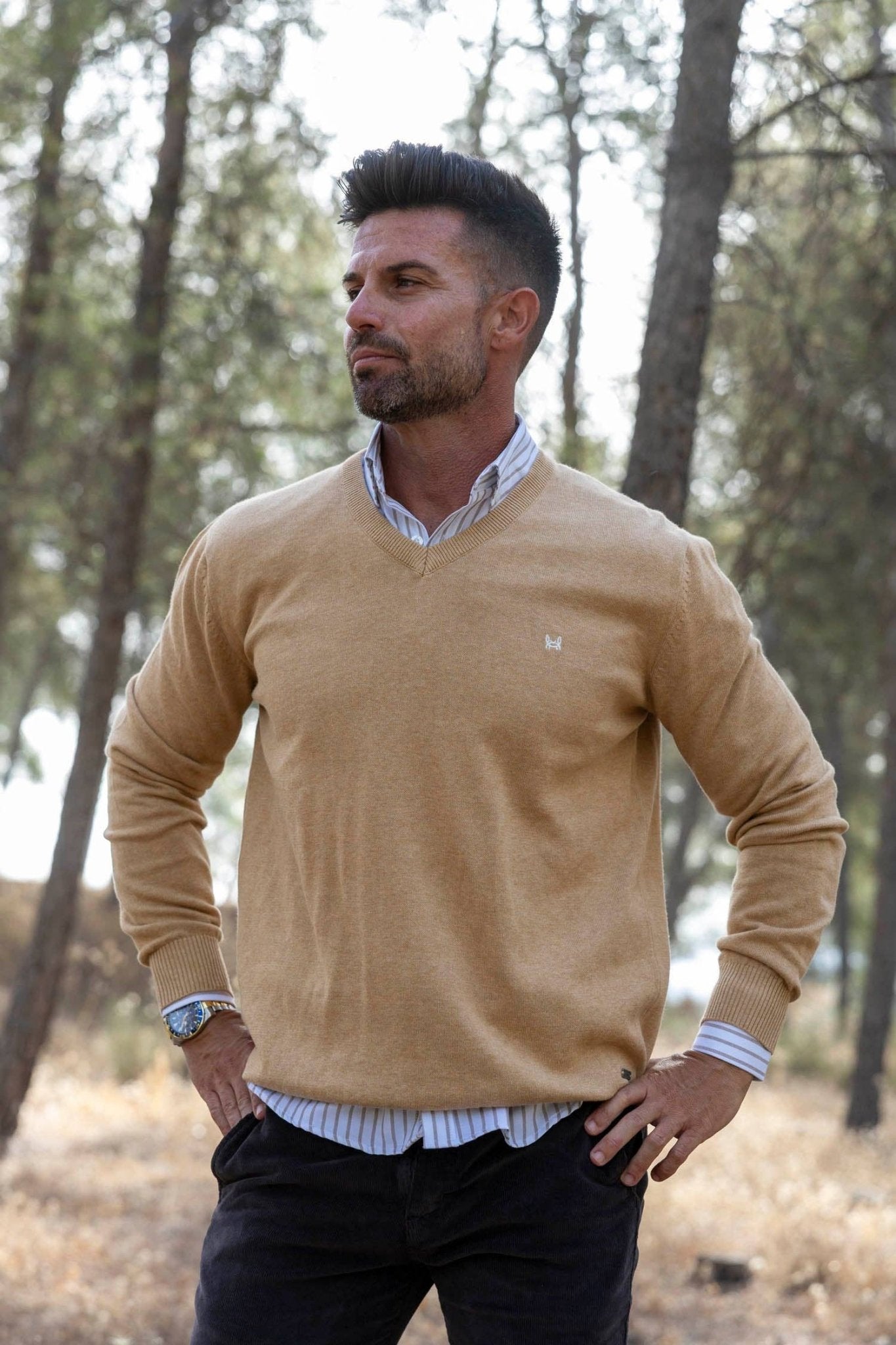 Basic V - Neck Camel Sweater - LUXONAS HOME