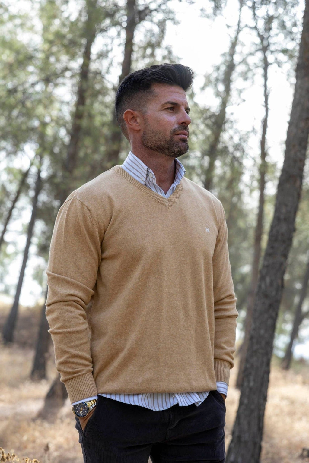 Basic V - Neck Camel Sweater - LUXONAS HOME