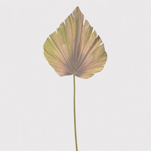 Beige Stem Palm - LUXONAS
