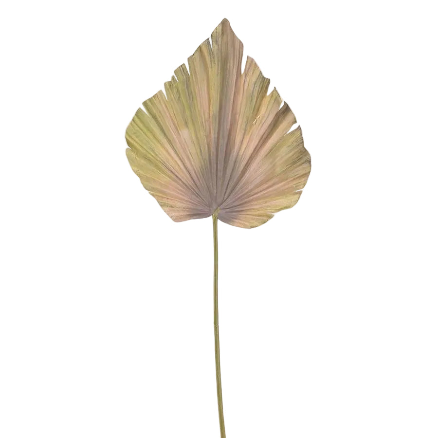 Beige Stem Palm