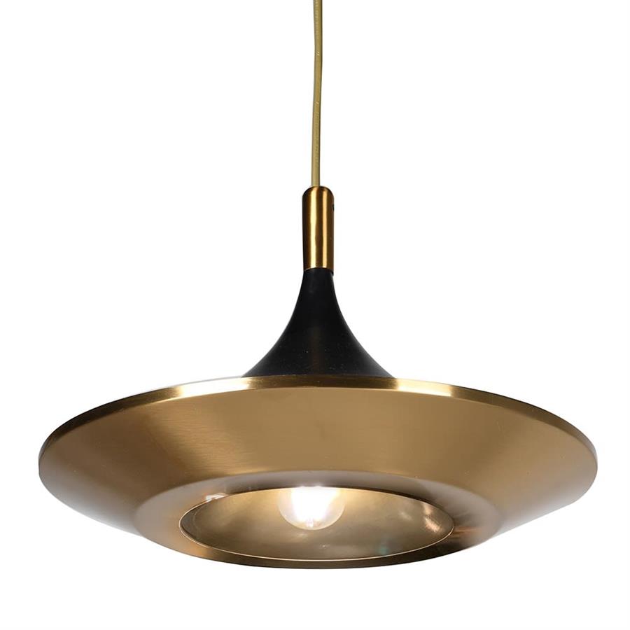 Black and Gold Pendant Light