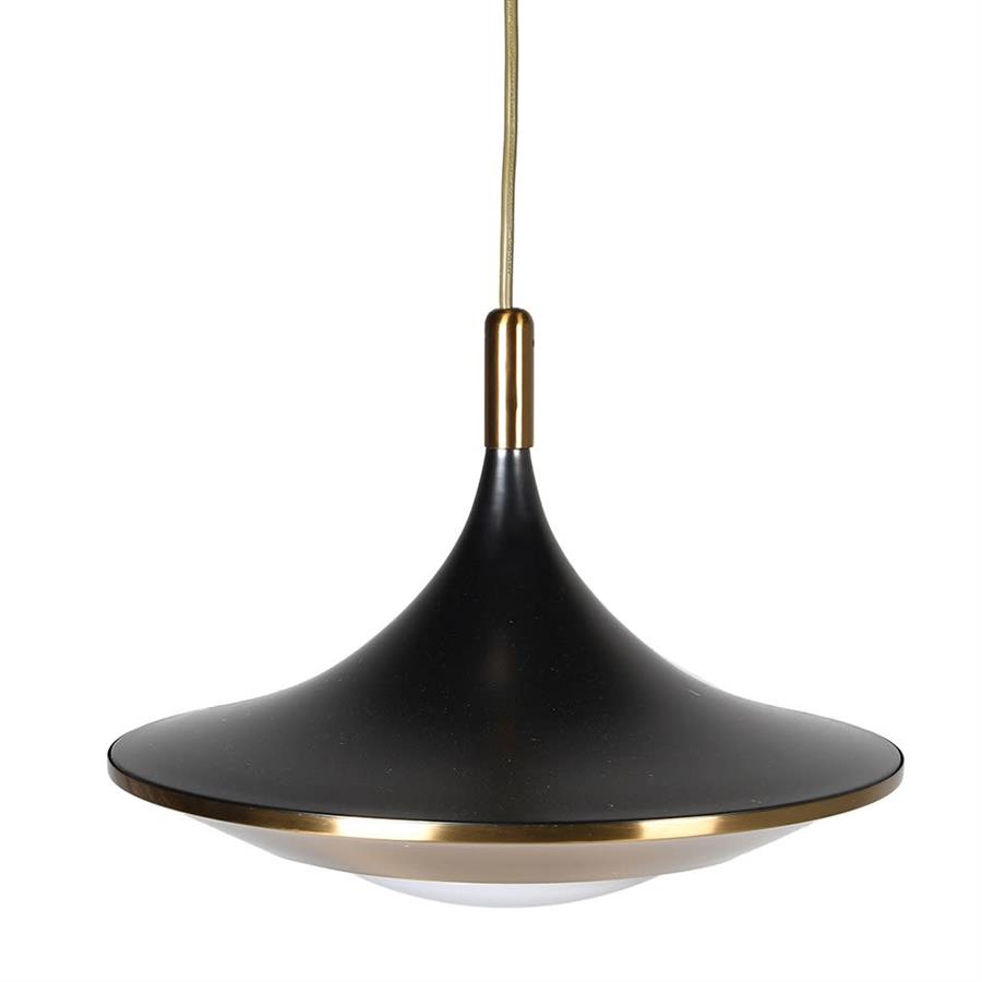Black and Gold Pendant Light