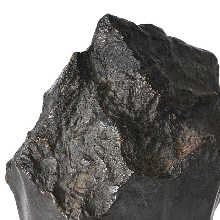 Black Horse Head On Plinth - Elegant Decorative Sculpture