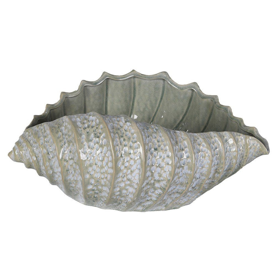 Celadon Ceramic Shell